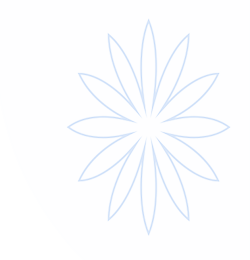 开云体育app-在线平台安全合规